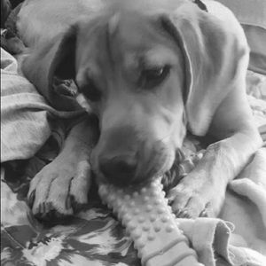 Meet your Posher, Wanda